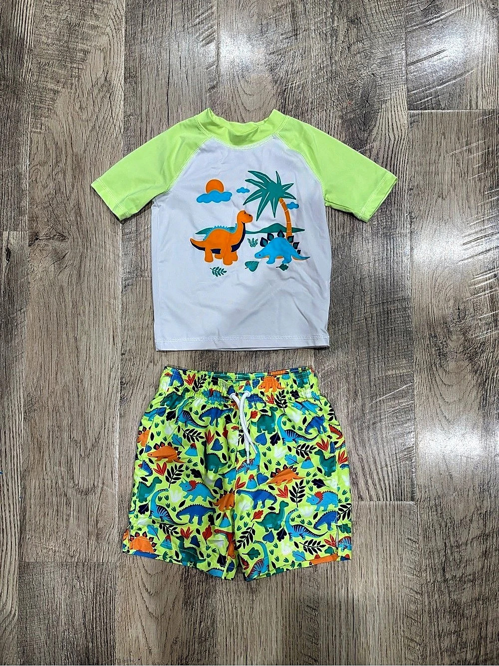 Boys 3T Dinosaur swimsuit Set Like New